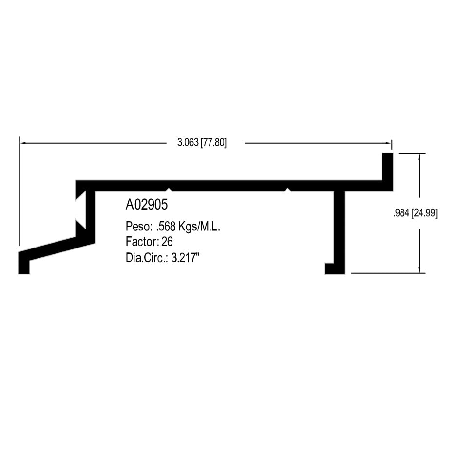 A02905