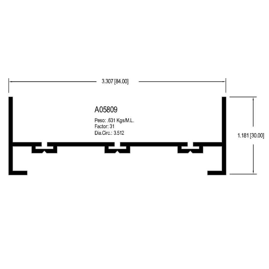 A05809