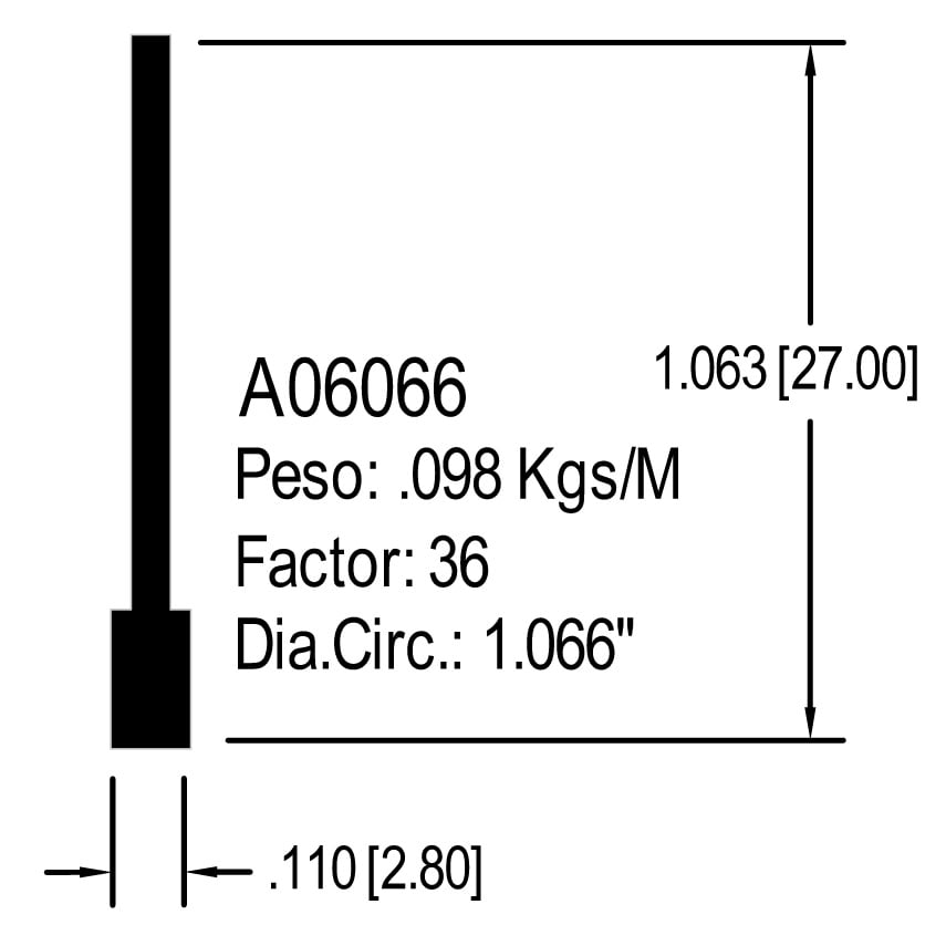 A06066