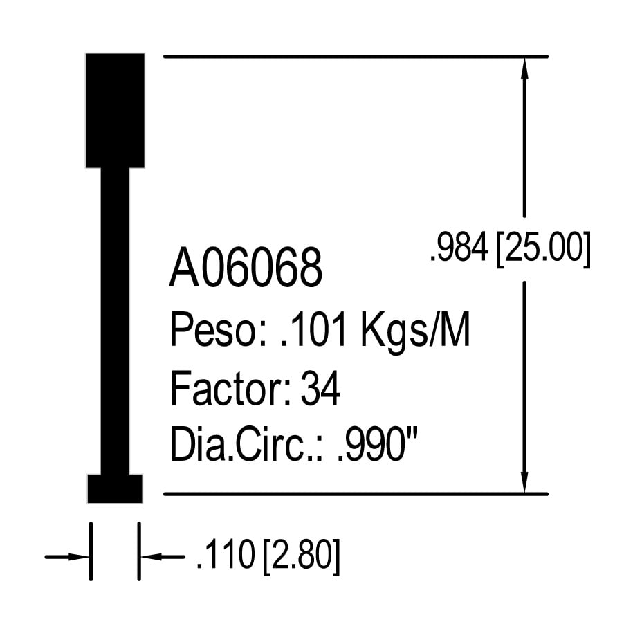 A06068